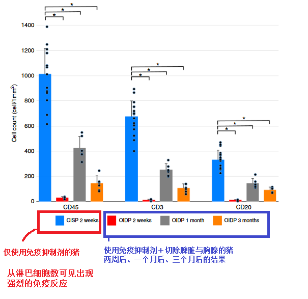 自然杂志论文的详解 成功制造出移植后长期存活的免疫缺陷猪模型 庆应大学与佐贺大学的壮举 Ayumi Media 生き抜く子供を育てたい