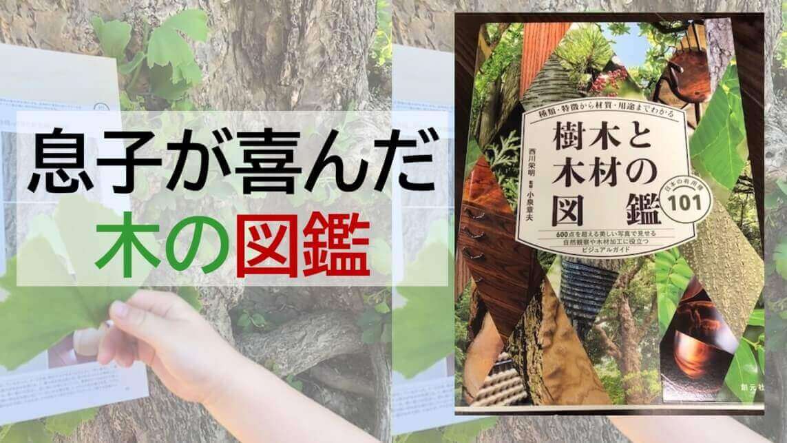 感動 樹木と木材の図鑑 がすばらしいのでレビュー 子どもが木に興味を持ったら買いたい1冊 Ayumi Media 生き抜く子供を育てたい